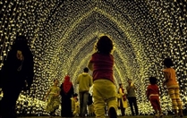 Festivals and Big Events Sharjah Light Festival  UAE