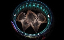 Festivals and Big Events Rio 2016 Olympics UAE