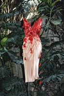 Social Paule Ka Spring Summer 2017 Collection UAE