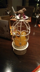 Social Tour at Anantara Dubai  UAE