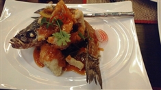 Social Tour at Anantara Dubai  UAE