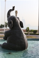 Social Tour at Anantara Dubai  UAE