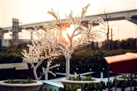 Social Habtoor City opening UAE