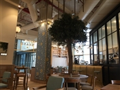 Social The Brass Expands Presence In UAE UAE