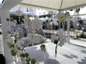 Social Mazaya Arabia in Cannes UAE