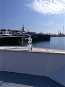 Social Mazaya Arabia in Cannes UAE