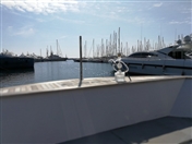 Social Mazaya Arabia in Cannes UAE