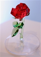 Social Beauty and the Beast Premiere Sponsored by Swarovski  UAE