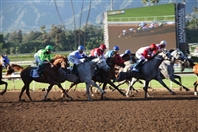 Escapes Racing day at Santa Anita Park UAE