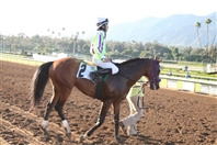 Escapes Racing day at Santa Anita Park UAE
