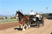 Escapes Racing day at Santa Anita Park UAE