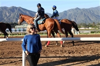 Escapes Racing day at Santa Anita Park UAE