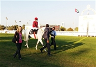 Social Thakif Keeps Field at Bay for Group 1 President’s Cup Win UAE