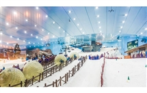 Leisure Sites Dubai Ski Dubai Tourism Visit UAE
