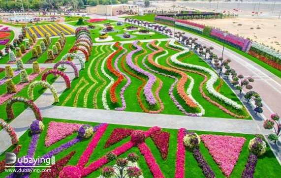 Leisure Sites Dubai Dubai Miracle Garden Tourism Visit UAE