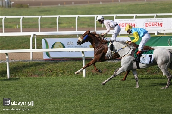 Escapes Ziyadd wins Listed Zayed Cup at Capanelle Race Course UAE