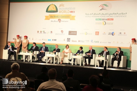 Social 7th World Arabian Horse Racing Conference opens in Rome UAE