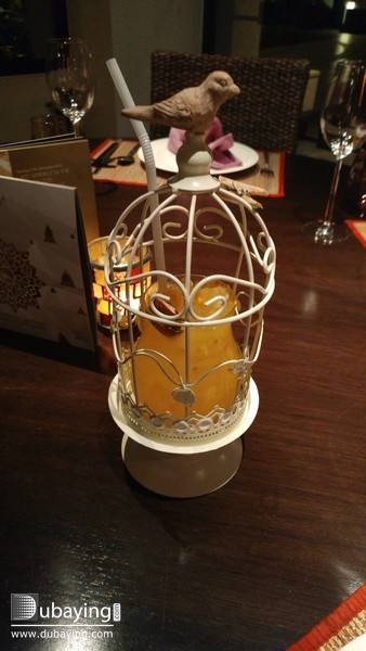 Social Tour at Anantara Dubai  UAE