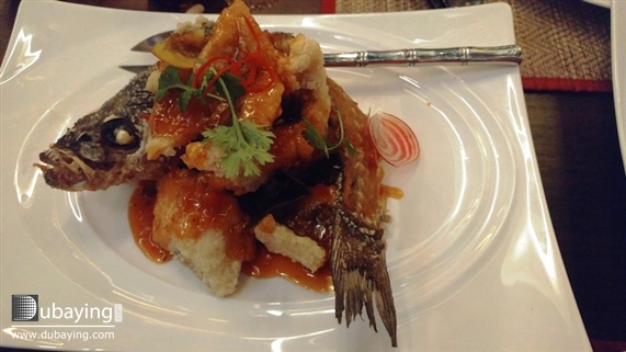 Social Tour at Anantara Dubai  UAE