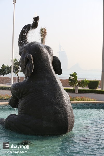 Social Tour at Anantara Dubai  UAE