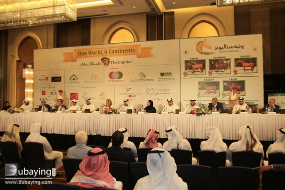 Social Sheikh Mansoor Bin Zayed Al Nahyan festival UAE