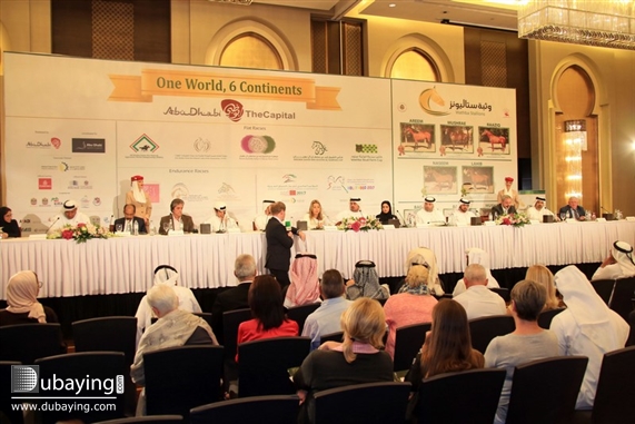 Social Sheikh Mansoor Bin Zayed Al Nahyan festival UAE