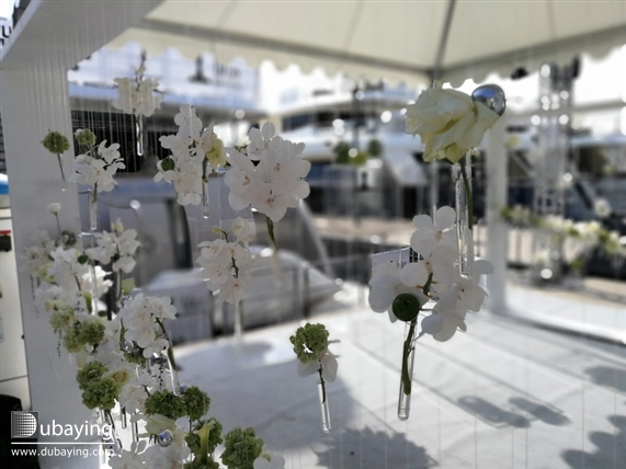 Social Mazaya Arabia in Cannes UAE