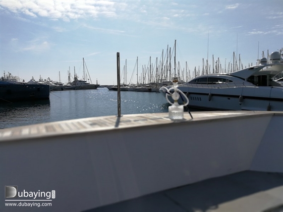 Social Mazaya Arabia in Cannes UAE