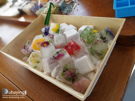 Social Mazaya Arabia in Cannes UAE