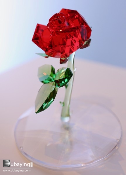 Social Beauty and the Beast Premiere Sponsored by Swarovski  UAE