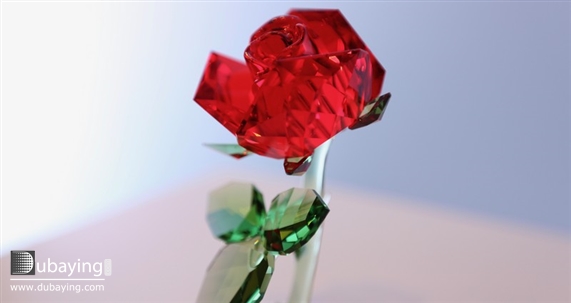 Social Beauty and the Beast Premiere Sponsored by Swarovski  UAE