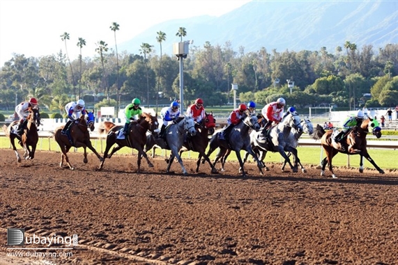 Escapes Racing day at Santa Anita Park UAE