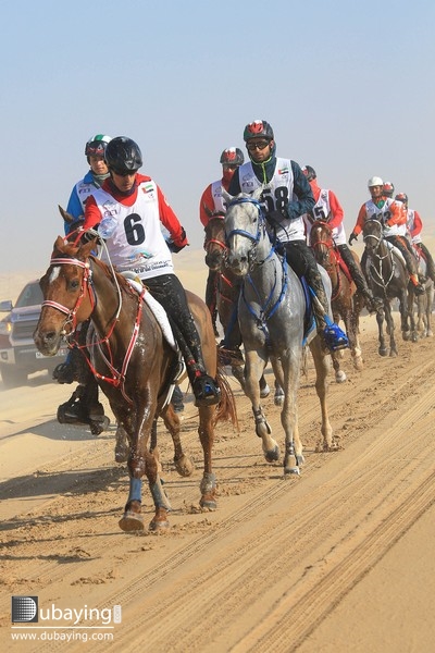 Social Sheikh Rashid Dalmook wins President’s Cup on Shaddad UAE