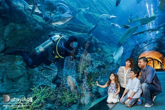 Activity Downtown Dubai Social Experience the underwater world closely with  Dubai Aquarium & Underwater Zoo’s new private guided tours UAE